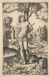 Svatý Šebestián přivázaný ke stromu probodnutému šípy, 1530-60.