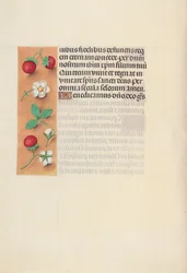 Hodiny královny Isabely Katolické, královny Španělska: Fol. 125v, c. 1500.
