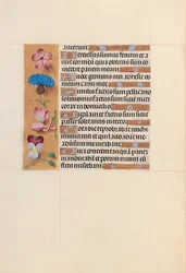 Hodiny královny Isabely Katolické, královny Španělska: Fol. 206v, c. 1500.