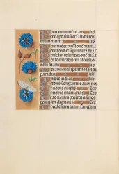 Hodiny královny Isabely Katolické, královny Španělska: Fol. 213v, c. 1500.