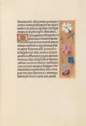 Hodiny královny Isabely Katolické, královny Španělska: Fol. 218r, c. 1500.