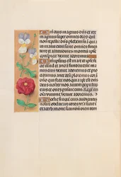 Hodiny královny Isabely Katolické, královny Španělska: Fol. 226v, c. 1500.