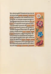 Hodiny královny Isabely Katolické, královny Španělska: Fol. 228r, c. 1500.