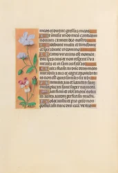 Hodiny královny Isabely Katolické, královny Španělska: Fol. 239v, c. 1500.
