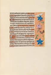 Hodiny královny Isabely Katolické, královny Španělska: Fol. 253r, c. 1500.