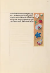 Hodiny královny Isabely Katolické, královny Španělska: Fol. 269r, c. 1500.