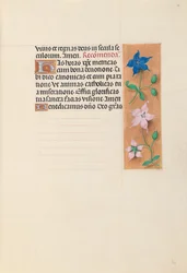 Hodiny královny Isabely Katolické, královny Španělska: Fol. 30r, c. 1500.