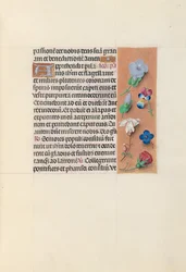 Hodiny královny Isabely Katolické, královny Španělska: Fol. 54r, c. 1500.