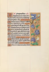 Hodiny královny Isabely Katolické, královny Španělska: Fol. 59r, c. 1500.