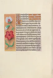Hodiny královny Isabely Katolické, královny Španělska: Fol. 89v, c. 1500.