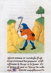Le Livre des simples medecines - překlad do francouzštiny z latinského rukopisu Matthaeus Platearius z 12. století (pergamen)