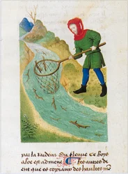 Le Livre des simples medecines - překlad do francouzštiny z latinského rukopisu Matthaeus Platearius z 12. století (pergamen)