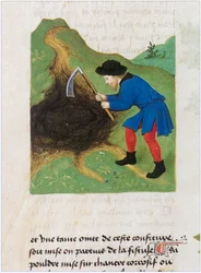 Le Livre des simples medecines - překlad do francouzštiny z latinského rukopisu Matthaeus Platearius z 12. století (pergamen)