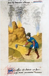 Le Livre des simples medecines - překlad do francouzštiny z latinského rukopisu Matthaeus Platearius z 12. století (pergamen)