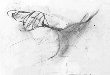 crease, 2007 (dřevěné uhlí)