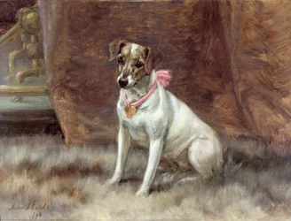 Růžový luk, 1898