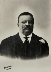 Portrét Theodora Roosevelta, prezidenta Spojených států ( 1858 )