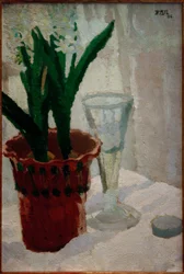 Hyacinty