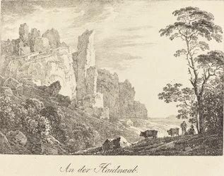 V Haidnaabu