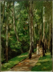 Birkenweg ve Wannsee na západ