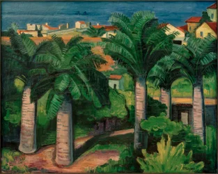 Palmy v Collioure