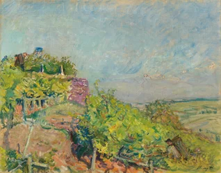Němčina: Vinobraní u Neukastelu