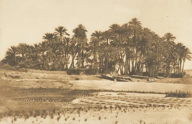 Pohled na Elephantine Island, naproti Asuánu, 1849-50.