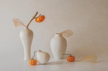 Elegantní podzimní zátiší