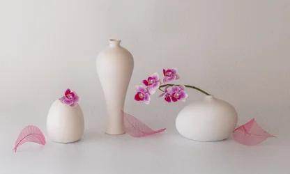 Zátiší s růžovými orchidejemi