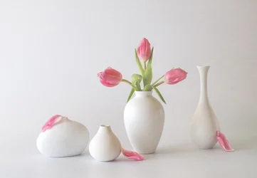 Růžové tulipány ve vázách