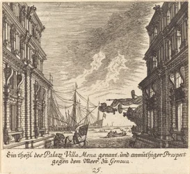 Palác Villamena, Janov