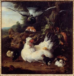 Slepice a její kuřata. Obraz Melchiora Hondecoetera (1636-1695), 17. století. Caen, Muzeum výtvarných umění