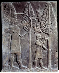 Scéna lovu ptáků. Nízký reliéf v albastru od paláce Sargona II nebo Sharroukina, krále Asýrie, po Khorsabad (Khunsabad) (Mezopotámie), Irák. 722-705 před naším letopočtem. Paříž. muzeum Louvre