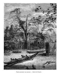 Rybářská zem, Papua, 19. století