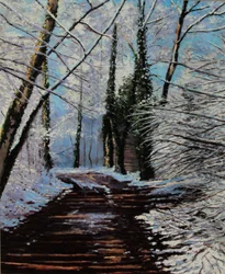 chemin de neige (olejomalba)