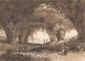 Bamboo Arches, St. Anns