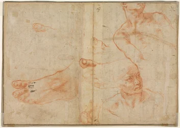 Figurální studie pro Sixtinský strop verso, 1510-11.
