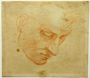 Studie hlavy ke stropu Sixtinské kaple, asi 1509-1510