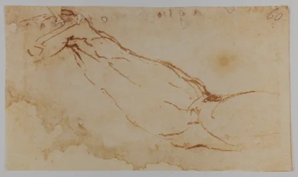 Náčrt pravé ruky "Lédy", 1528-1530 (kresba)