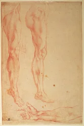 Studie nohou a paží (červená křída na papíře)
