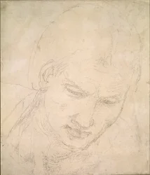 Studie hlavy, c1490-1560