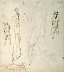 Studie Ježíška a anatomická kresba s poznámkami (černá křída a hnědý inkoust na papíře) (verze)
