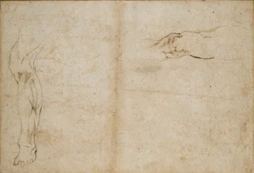 Verso: Studie mužské nohy, c1490-1560