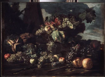 "Zátiší s hrozny" Malba Michelangela Pace da Campidoglio (1610-1670) 1650-1660 Rozměr 98x134 cm Muzeum Ermitáž, Petrohrad