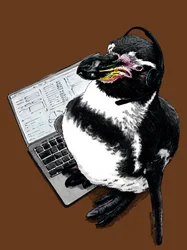 Nový Job Penguin na Burnt Orange, 2020