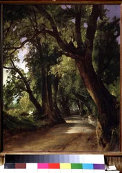 Pohled na Albano poblíž Říma (Itálie). (Pohled v Albano u Říma). Popis polní cesty mezi tyčícími se stromy. Obraz Michaila Ivanoviče Lebeděva (1811-1837), olej na plátně, krajina 19. století. Státní Treťjakovská galerie, Moskva.
