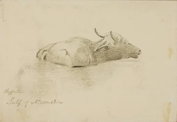 Buffalo, Nikomédský záliv