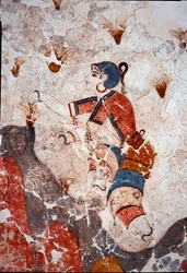 Mínojská civilizace: ženy sbírající šafrán. Detail fresky z očistné nádrže Xeste 3 v Akrotiri (Théra), Santorini. Rozměry: 244 x 266 cm, 16. století př. n. l. Santorini, Sbírka fresek z Akrotiri na Théře