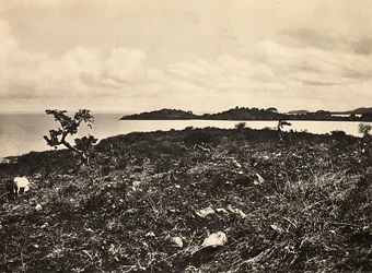 „Budování říše“ ve fašistickém věku: jezero Tana. Etiopie, 09.05.1936 (čb foto)