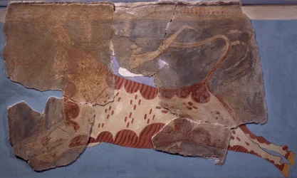 Scéna býčích zápasů, freska z paláce Tirinto, mykénská civilizace